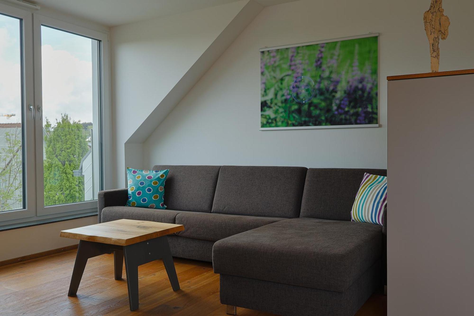 Seezeichen Appartement Wasserburg